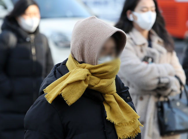 사잔=뉴시스 제공