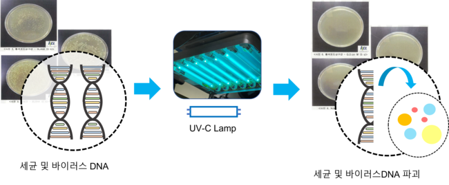 UVC 램프를 통한 세균 및 바이러스 사멸 과정
