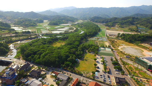 함양군 상림공원 전경 사진