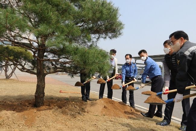 평택해양경찰서에서 청사 내 정원에 소나무를 심고 있다.