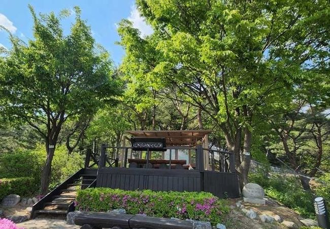 청와대 백악정의 모습. 사진을 기준으로 오른쪽에는 김대중 전 대통령과 이희호 여사가 식수한 느티나무가, 왼쪽에는 노무현 전 대통령과 권양숙 여사가 식수한 서어나무가 자리하고 있다. (사진 = 박수현 청와대 국민소통수석 페이스북)