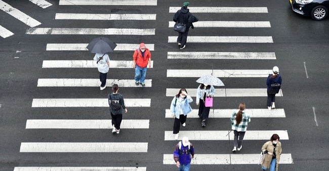 (사진=뉴시스 제공)