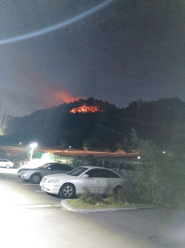 24일 0시16분께 경북 포항시 북구 흥해읍 대련리 산 140-11 일원에서 산불이 발생해 50분만에 꺼졌다.(사진=산림청 제공)