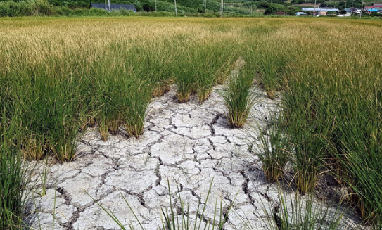 (사진=뉴시스 제공)