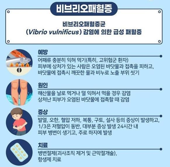 비브리오패혈증 예방 포스터(전라북도 보건환경연구원 제공) 