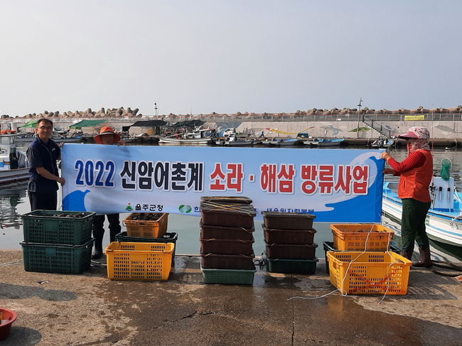 한국수력원자력(주) 새울원자력본부(본부장 이상민)는 어족자원 조성과 어업인 소득 증대를 위해 지난 9일부터 울주군 관내 8개 어촌계 인근 바다에 어린 해삼 11만 2천미(약 5천만원)와 뿔소라 4톤(약 3천만원)을 방류했다.
