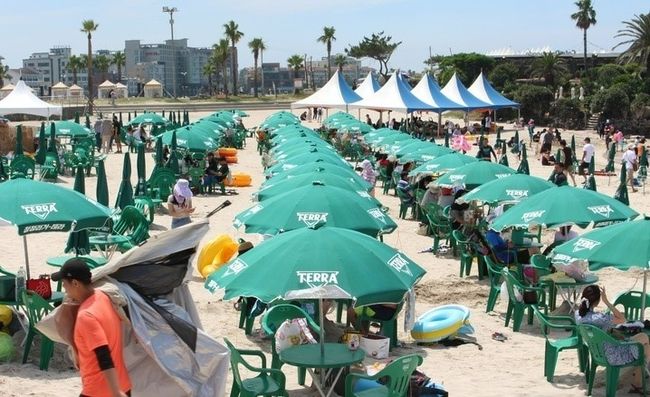 제주지역 해수욕장이 개장한 뒤 첫 주말을 맞은 2일 오후 제주 함덕해수욕장에 파라솔들이 줄지어 펼쳐져 있다. 3년 만에 '노마스크'로 개장한 도내 12곳 해수욕장은 다음 달 31일까지 2개월간 오전 10시부터 오후 7시까지 운영된다.