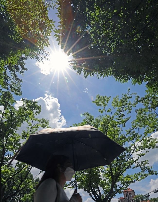 폭우가 그치고 서울 전 지역에 폭염주의보가 발효된 지난 1일 오후 한 시민이 서울 중구 서울광장 인근에서 양산을 쓰고 거리를 걷고 있다.