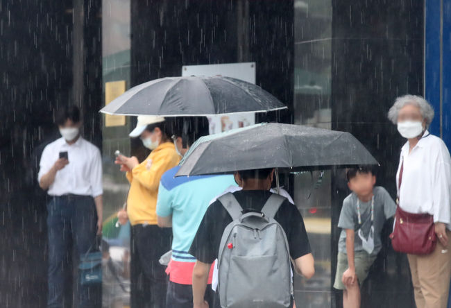 (사진=뉴시스 제공)
