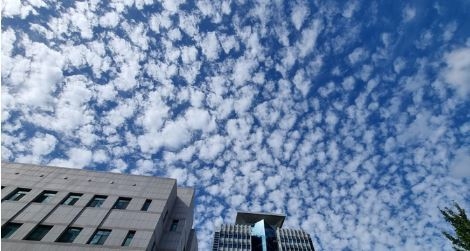 (사진=뉴시스 제공)