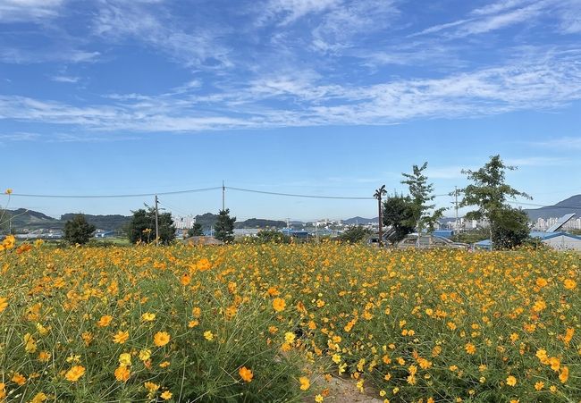 (사진=뉴시스 제공)