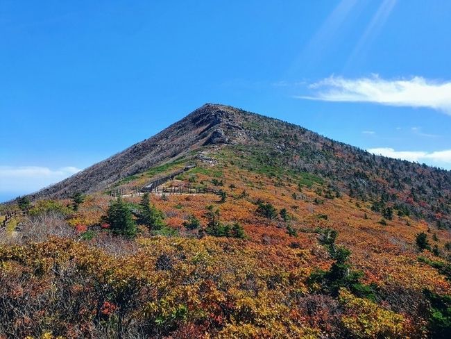 환경부 산하 국립공원공단은 가을 성수기를 맞아 국립공원 내 환경보전 및 안전사고 예방을 위해 11월13일까지 임산물 채취 등 불법행위를 집중적으로 단속한다고 3일 밝혔다.