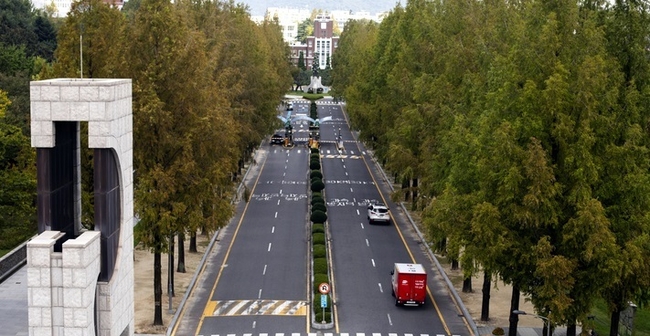 전남대학교 교정. (사진=전남대 제공·뉴시스 제공)