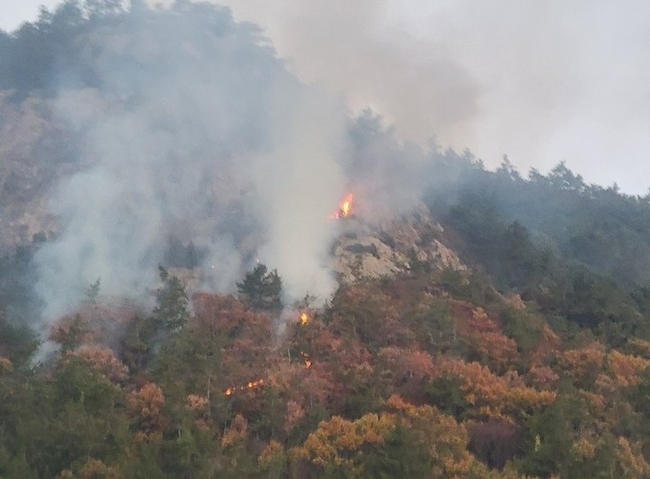 8일 오전 6시 2분께 완도군 금일면 청도 한 야산에서 불이 나 산림 당국이 진화 작업을 벌이고 있다. (사진 = 전남도 제공) 