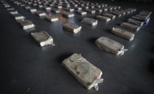 (사진=뉴시스 제공)