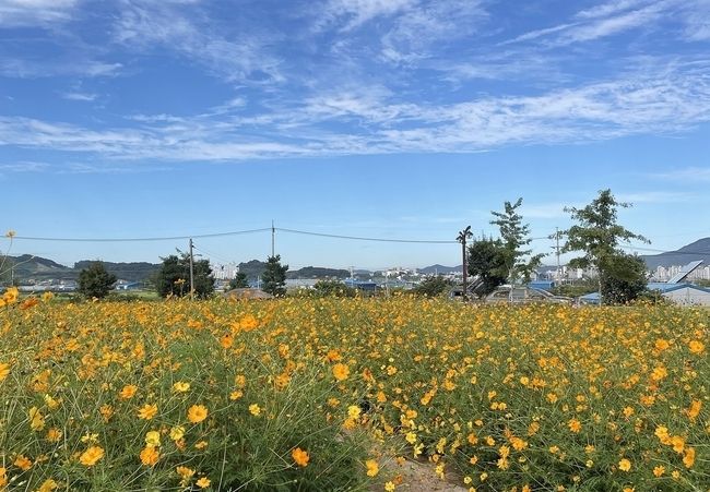 (사진=뉴시스 제공)