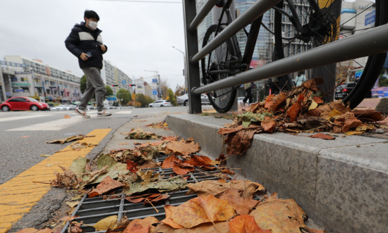 배수로 막고 있는 낙엽. (사진=뉴시스DB).