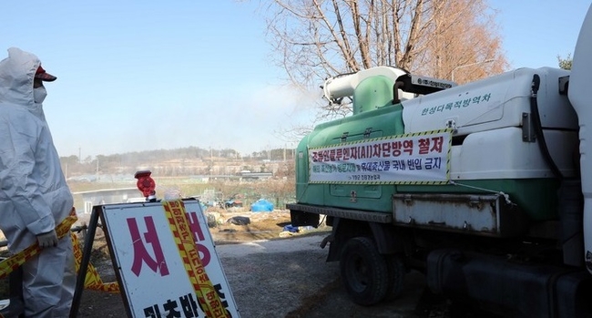 조류인플루엔자(H5형) 항원이 검출된 부산 기장군의 한 농장에서 20일 오후 방역요원들이 출입을 통제한 채 방역소독을 펼치고 있다. 이 농장에서는 닭 등 가금류 총 226마리를 사육하고 있었지만, 이 중 약 30마리가 지난 18~19일 조류인플루엔자로 폐사했고, 나머지 가금류는 19일 밤 모두 살처분됐다. (사진=뉴시스 제공)