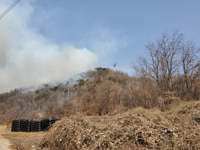 (사진=산림청/뉴시스 제공)