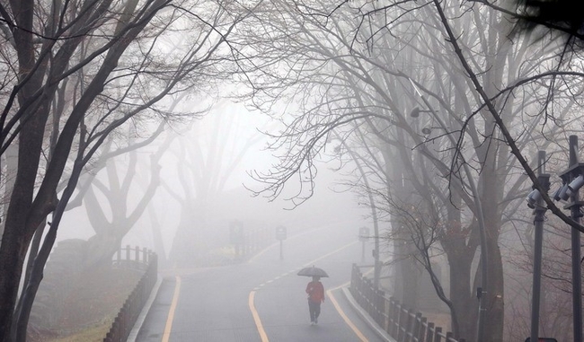 비가 내리는 12일 오전 서울 용산구 남산에서 시민이 우산을 쓰고 산책을 하고 있다. (사진=뉴시스)