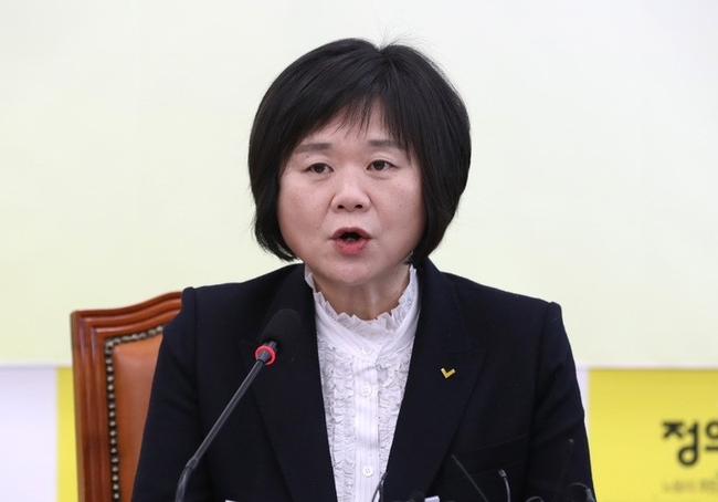 지난 13일 이정미 정의당 대표가 서울 여의도 국회에서 열린 상무집행위원회 회의에서 발언하고 있다. (사진=뉴시스)