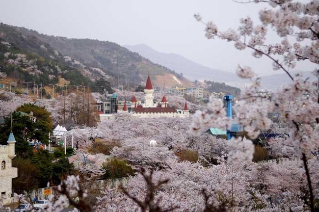 벚꽃이 만개한 진해 여좌천 상류 마을길 풍경.