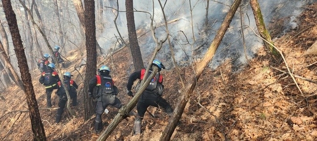 2일 오후 서울 종로구 인왕산에서 발생한 산불 화재 현장에서 산불재난특수진화대원들이 산불 집화 작업을 하고 있다.(사진=산림청 제공)