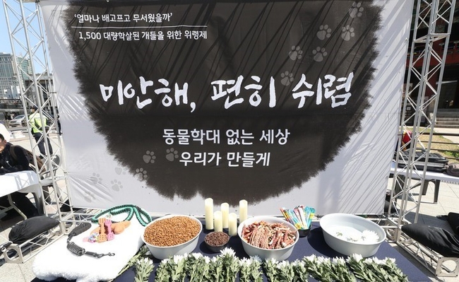 8일 오후 서울 종로구 보신각 앞에서 대량학살된 1500마리 개들을 위한 위령제가 열렸다. (사진=뉴시스)