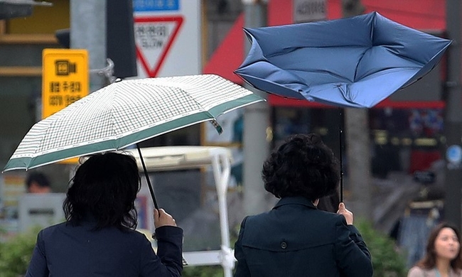 서울 지역에 강풍주의보가 내려진 지난 11일 오후 서울 동작구 거리에서 한 시민이 쓴 우산이 뒤집히고 있다. (사진=뉴시스)