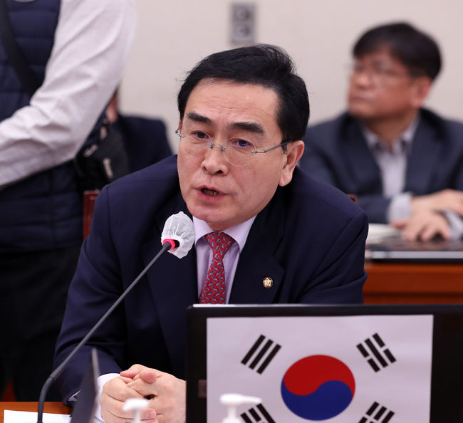 태영호 국민의힘 최고위원(사진=뉴시스 제공)
