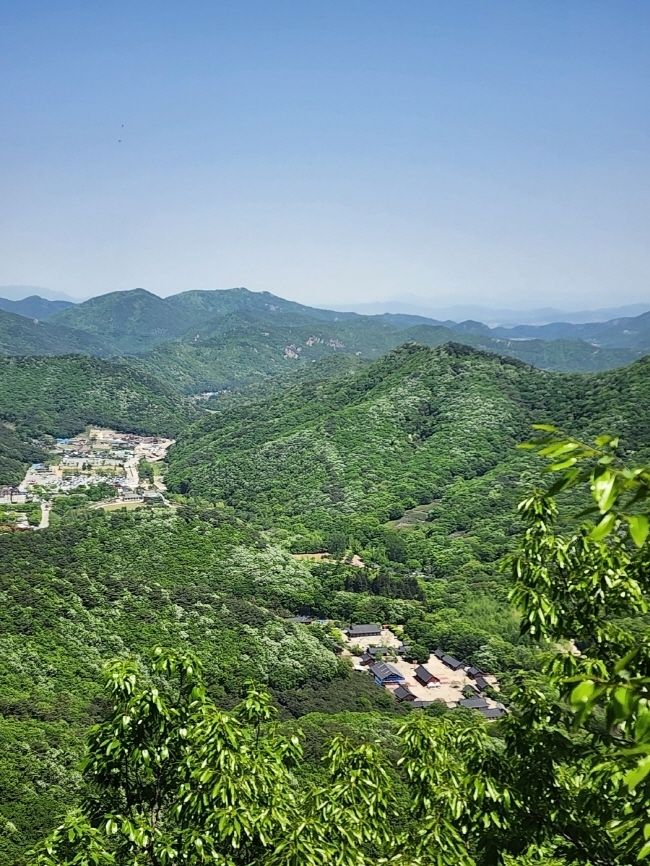 전북 고창 선운산 수리봉에서 바라본 선운사 전경.