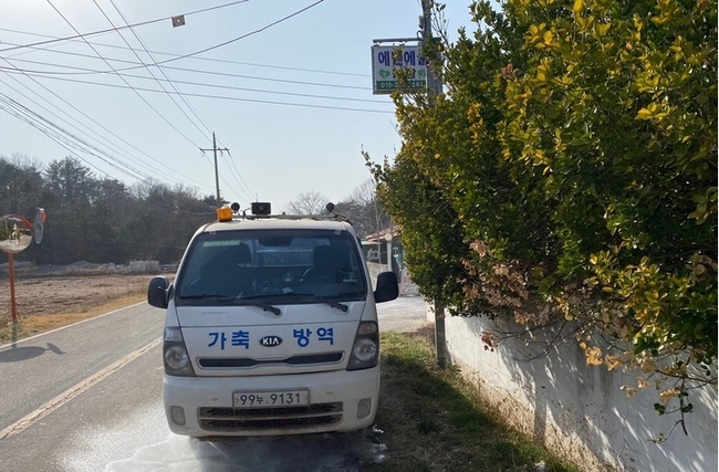 양돈농장 진입로 소독 현장.(사진=뉴시스 제공)