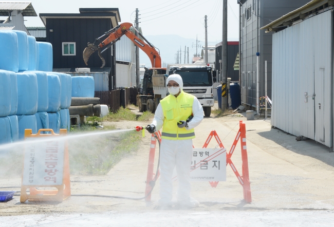 구제역이 발생한 11일 오전 충북 청주시 청원구 북이면 한 한우농장에서 방역당국 관계자가 방역 작업을 하고 있다.(사진=뉴시스 제공)