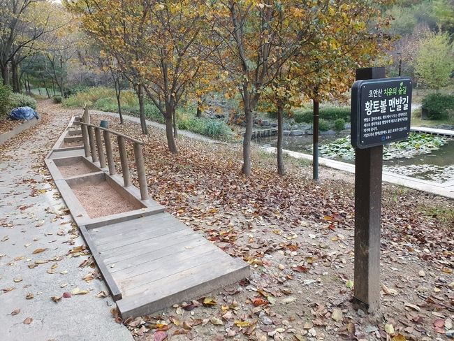 서울시 도봉구 초안산 치유의 숲. (사진=서울시 제공)
