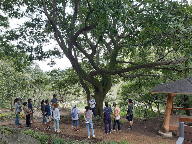 충남 계룡시 ‘향적산 치유의 숲’의 팽나무를 이용한 치유프로그램. (제공=계룡시) 