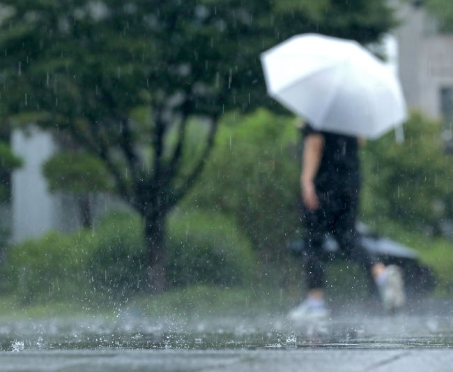비가 내린 4일 오후 서울 종로구 광화문광장에서 시민들이 우산을 쓰고 이동하고 있다.(사진=뉴시스 제공)