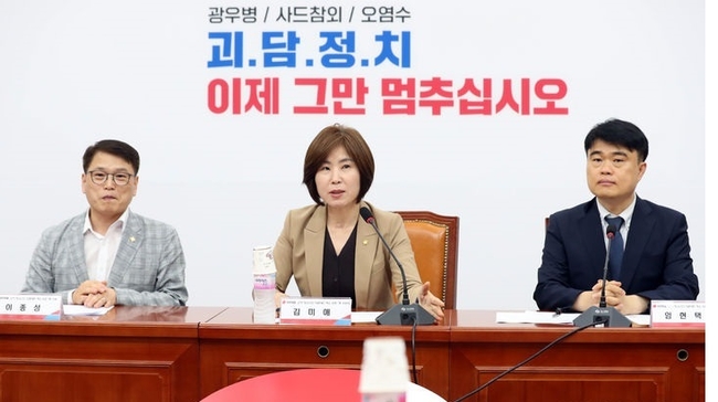 김미애 국민의힘 소아·청소년과 의료대란 해소 위한 TF 위원장이 29일 오후 서울 여의도 국회에서 열린 4차 회의에서 발언을 하고 있다. (사진=뉴시스 제공)