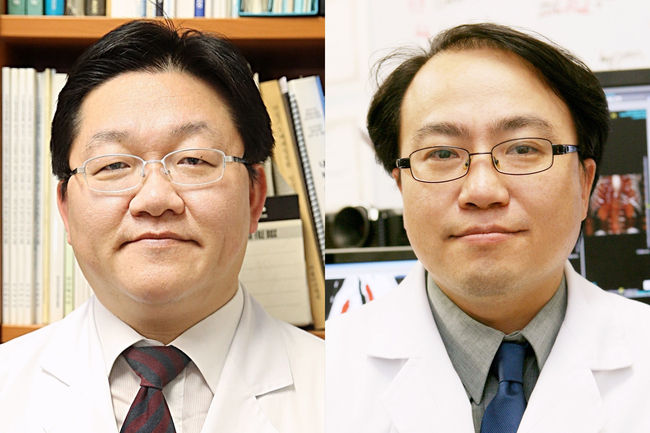 <strong>(왼쪽부터) 서울아산병원 영상의학과 서준범 교수, 융합의학과 김남국 교수. (사진=서울아산병원 제공)</strong>