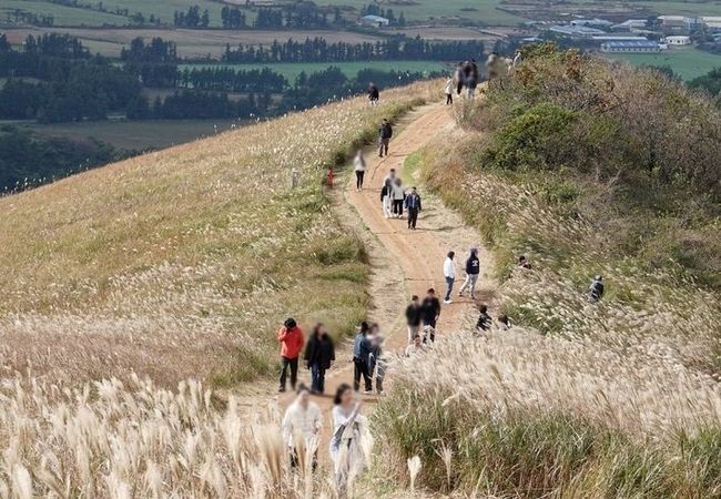제주 새별오름에서 등산객들이 즐거운 시간을 보내고 있다. (사진=뉴시스 제공)
