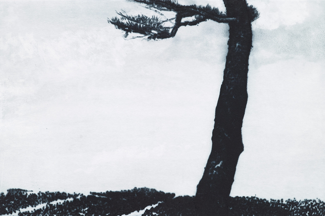  새벽-22301(Day break-22301). 30x45cm, Drypoint. 2023