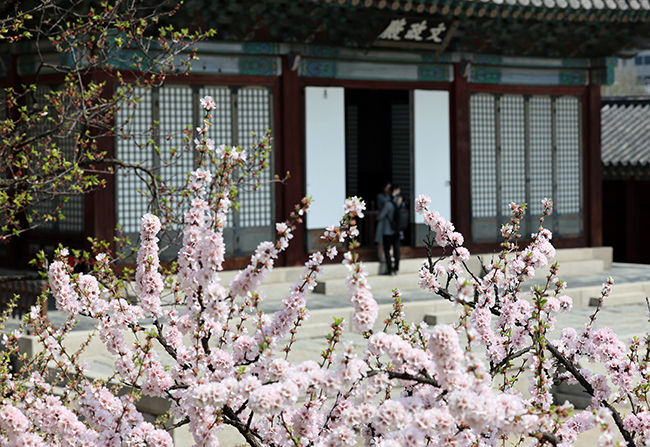 서울 종로구 창경궁에서 시민들이 휴식을 취하고 있다.
