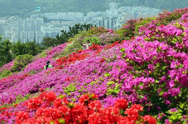 (사진=뉴시스 제공)