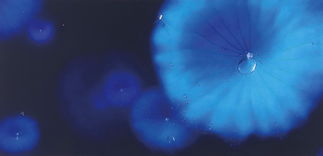 남상운_Blue moon-DR2311, oil and diamond+ruby on canvas, 75x155cm, 2024