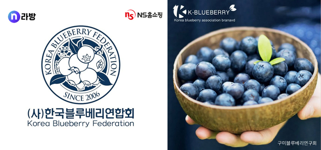'(사)한국블루베리연합회'와 손잡고 블루베리 시즌인 여름 내내 각지의 블루베리를 소개 할 예정으로 25일 오후 2시 첫방송을 구미에서 현지생방으로 진행한다.(사진=NS홈쇼핑 제공)