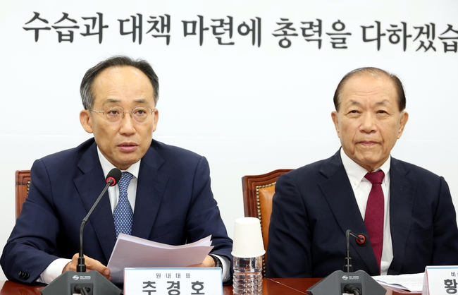 추경호 국민의힘 원내대표가 1일 오전 서울 여의도 국회에서 열린 비상대책위원회의에서 발언을 하고 있다. 오른쪽은 황우여 비대위원장.(사진=뉴시스 제공)