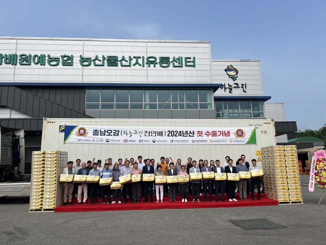 천안시와 천안배원예농협은 지난 13일 농산물유통센터에서 하늘그린 천안배 수출 선적식을 가졌다. (사진=천안시 제공)