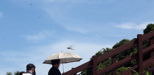부산 남구 이기대공원을 찾은 시민들이 무더위에 산책로를 오르고 있다.(사진=뉴시스 제공)