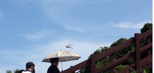 지난 20일 부산 남구 이기대공원을 찾은 시민들이 무더위에 산책로를 오르고 있다.(사진=뉴시스 제공)