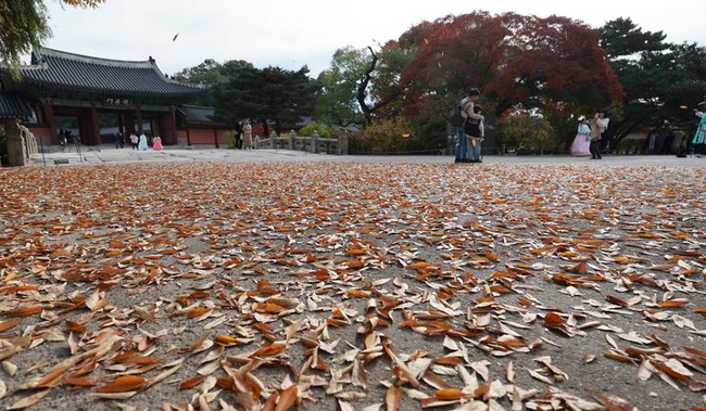 지난 10일 서울 종로구 창덕궁을 찾은 관광객들이 즐거운 시간을 보내고 있다. (사진=뉴시스 제공)