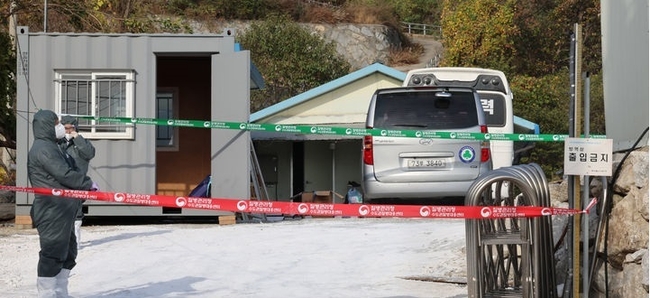 지난 19일 오후 인천 강화군의 화도면의 한 육용종계 농장 주변에서 방역차량이 방역을 하고 있다. 이 농장은 전날 고병원성 조류인플루엔자(AI)가 발생한 육용종계 농장에서 140m 떨어져 있어 고병원성 AI 항원이 검출되지 않았으나 바이러스 확산을 막기 위해 예방적 살처분을 진행한다.(사진=뉴시스 제공)